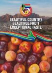 Season's First South African Stone Fruits Arrive in India - A Feast of Freshness and Flavor