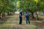 California Walnuts: The Fresh Crop Has Arrived in India = Wellness Within