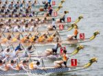 Paddles Up: Race into Hong Kong's Dragon Boat Festival Join the Weeklong Festivities Against Victoria Harbour's Iconic Skyline