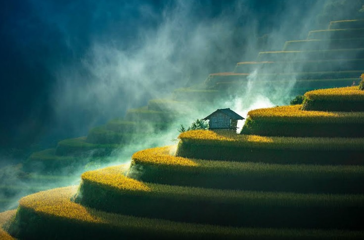Greenstorm Unveils Winning Images Celebrating Beautiful Wetlands