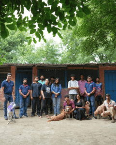 Zigly Foundation's Community Feeding Initiative Crosses 5,000 Kg Mark, Reaching Dogs Across Shelters and Communities